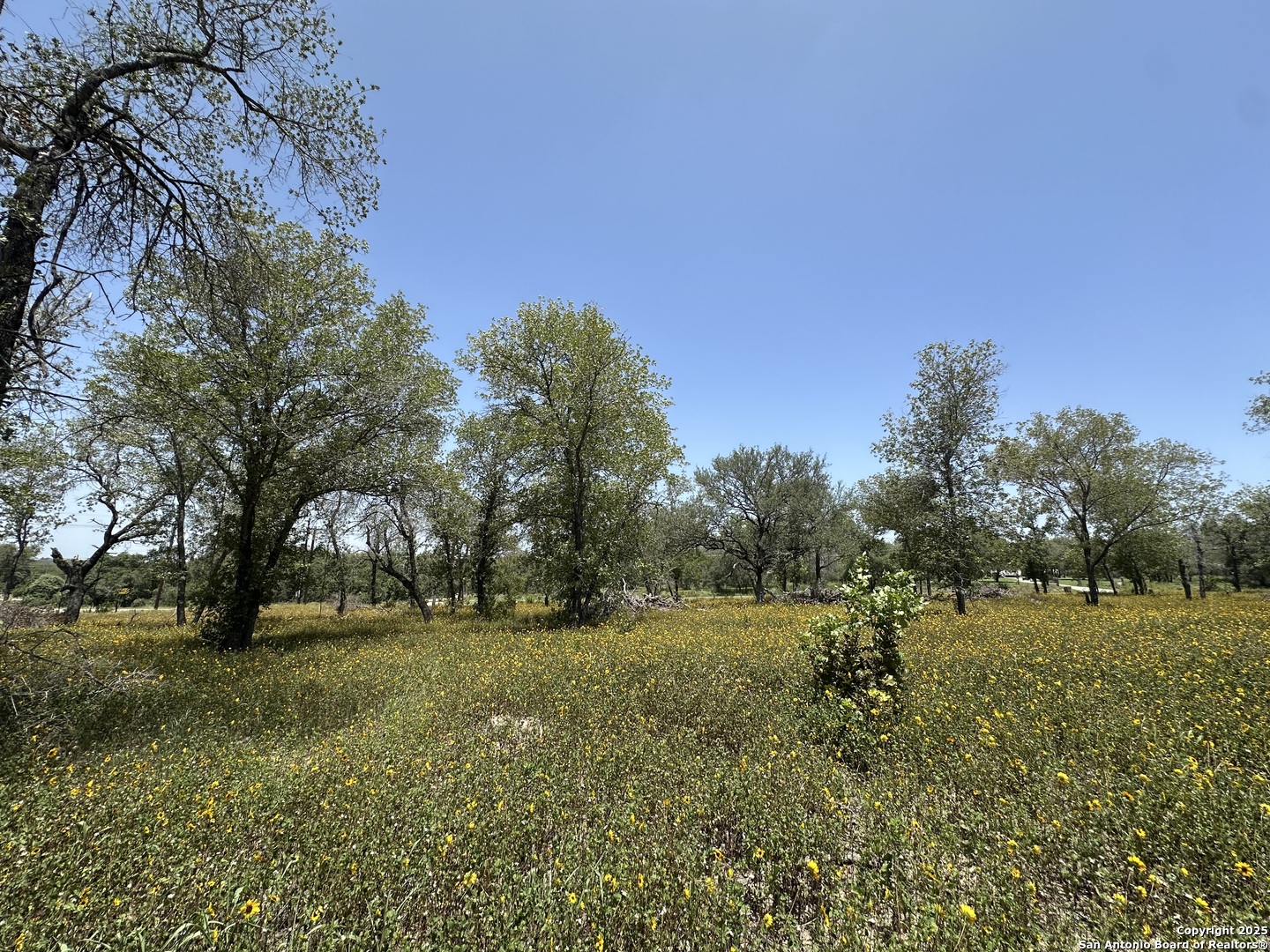 00 Priest Road San Antonio TX 78112