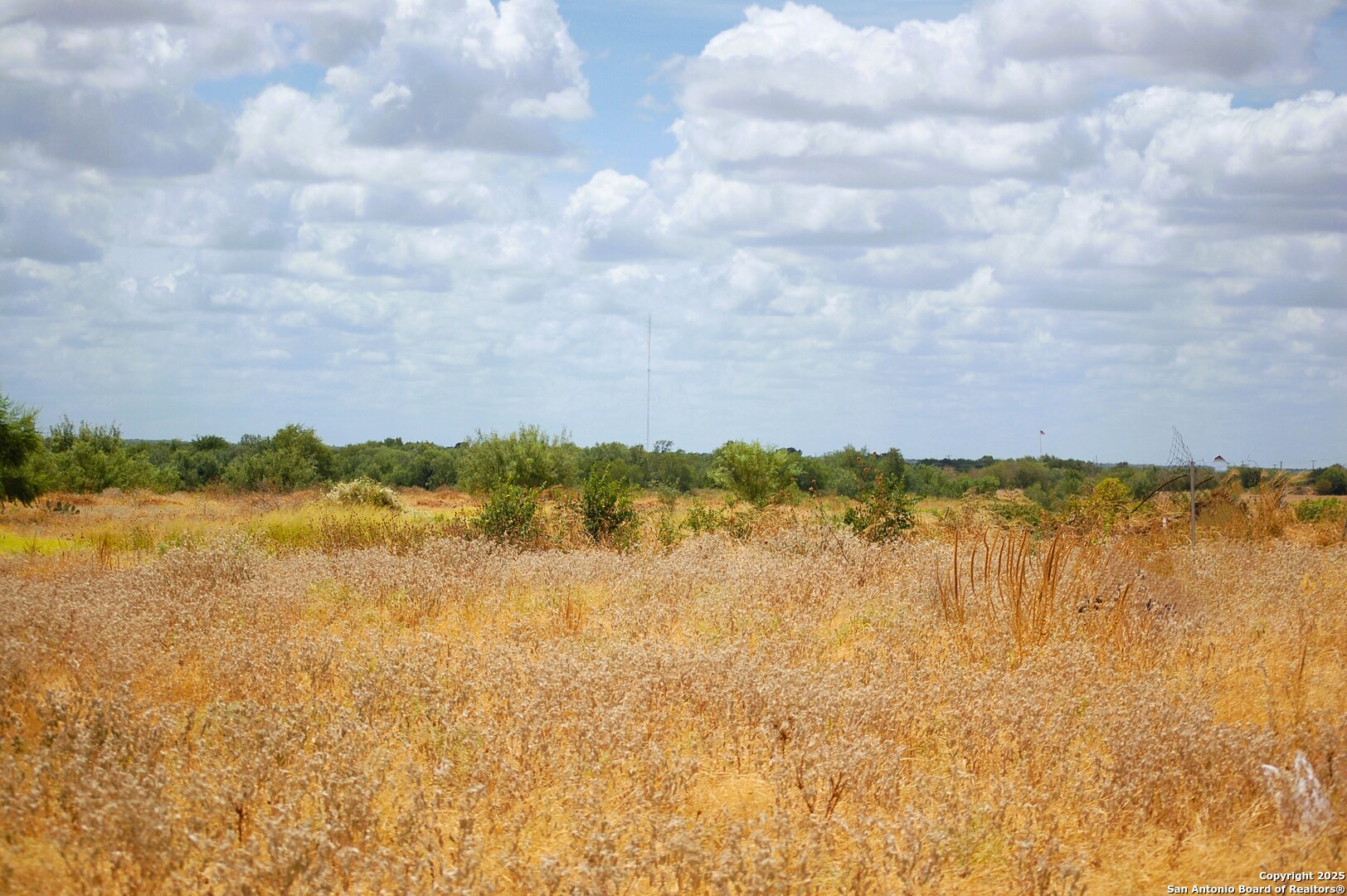 Tbd Ih 35 Pearsall TX 78061