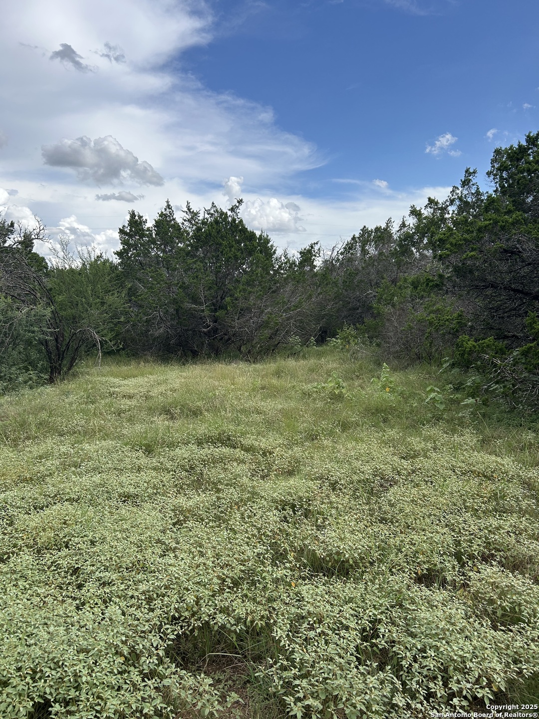 3649 Fm 306 New Braunfels TX 78132