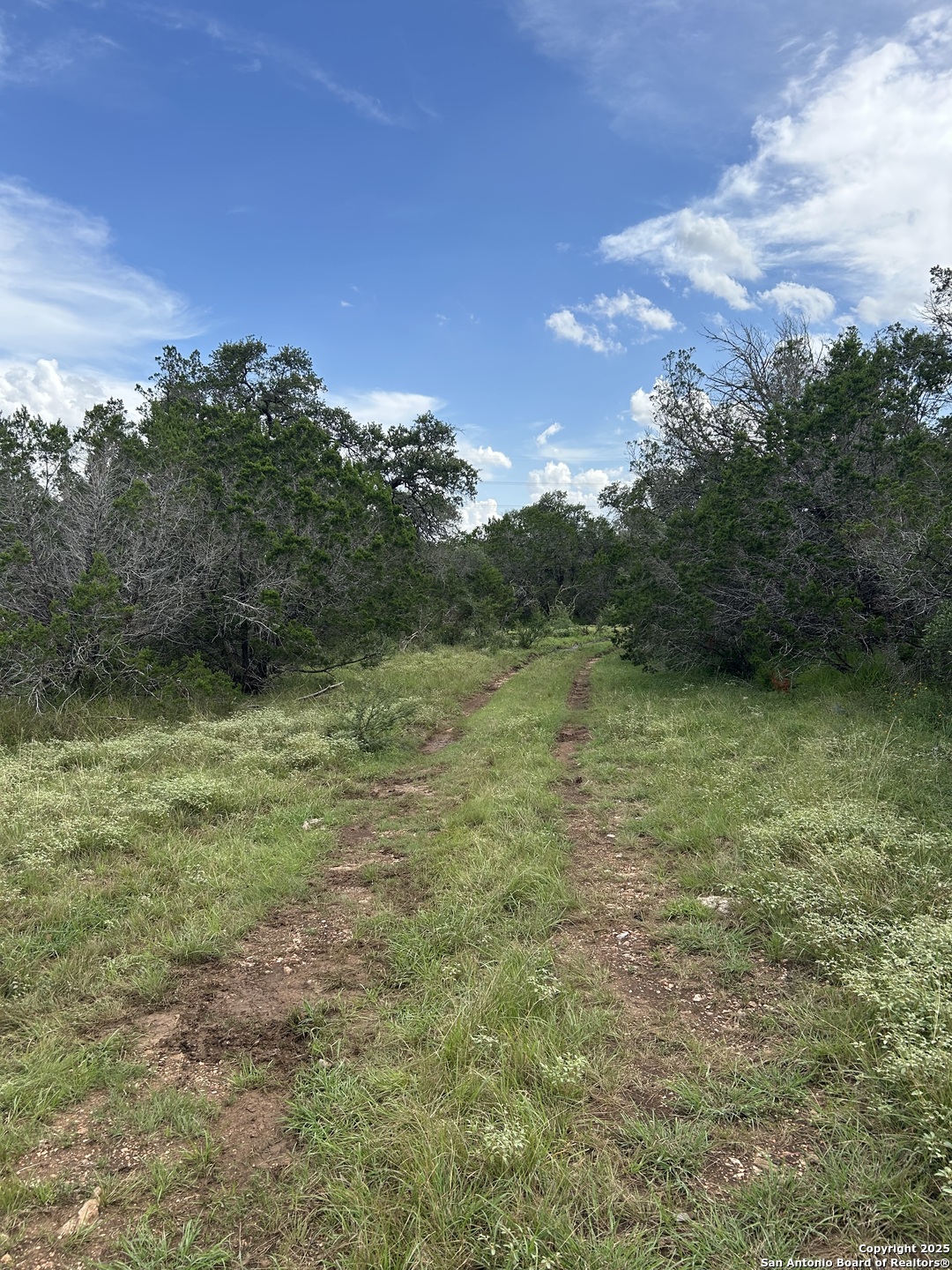 3649 Fm 306 New Braunfels TX 78132