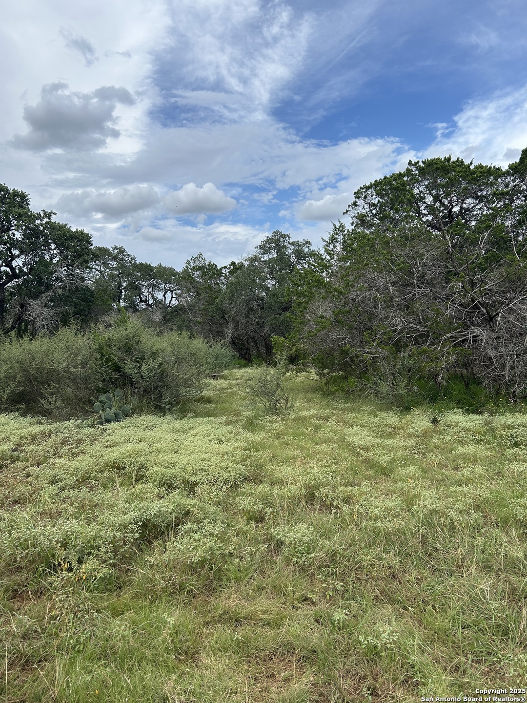 3649 Fm 306 New Braunfels TX 78132