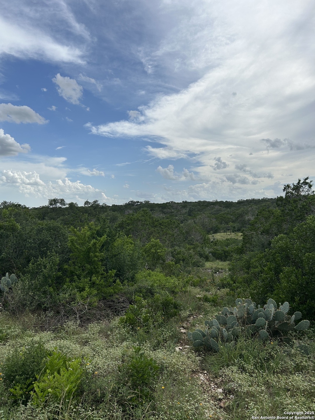 3649 Fm 306 New Braunfels TX 78132