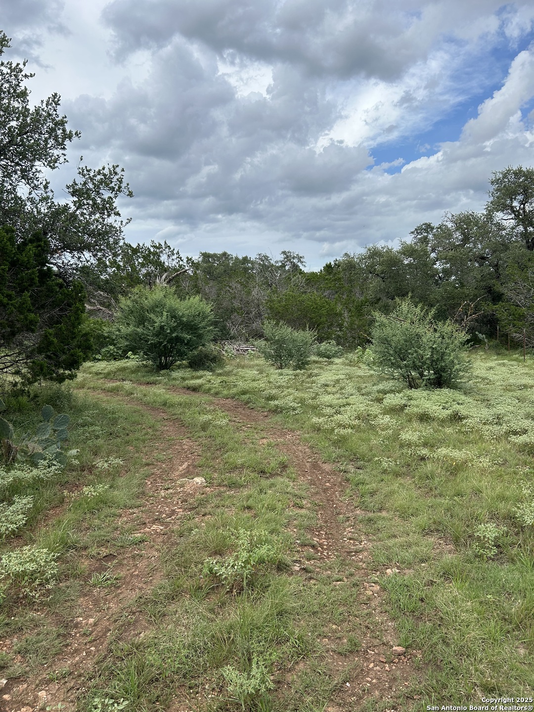 3649 Fm 306 New Braunfels TX 78132