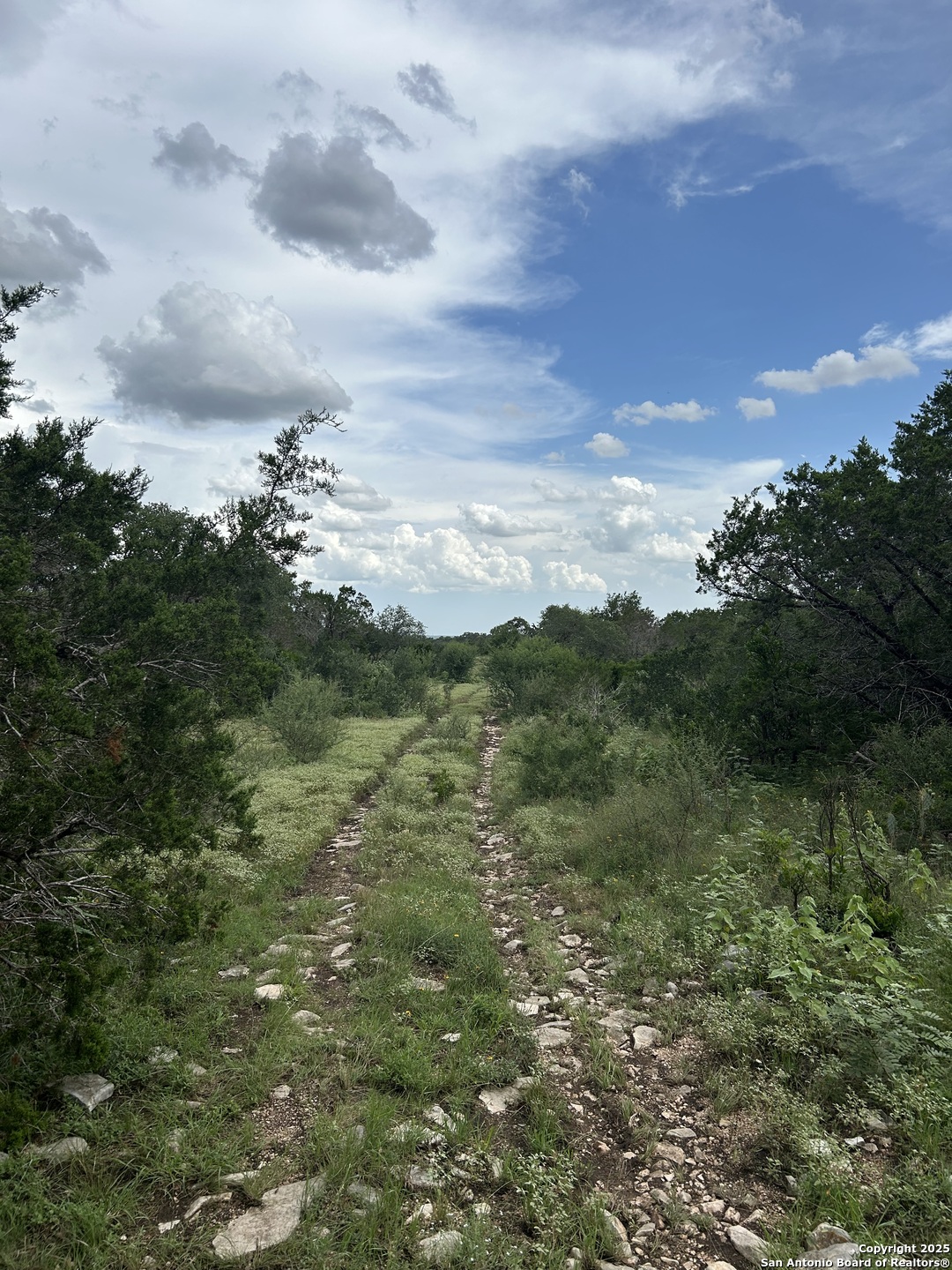 3649 Fm 306 New Braunfels TX 78132