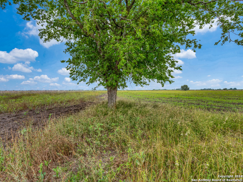 1807 Fm 758 New Braunfels TX 78130