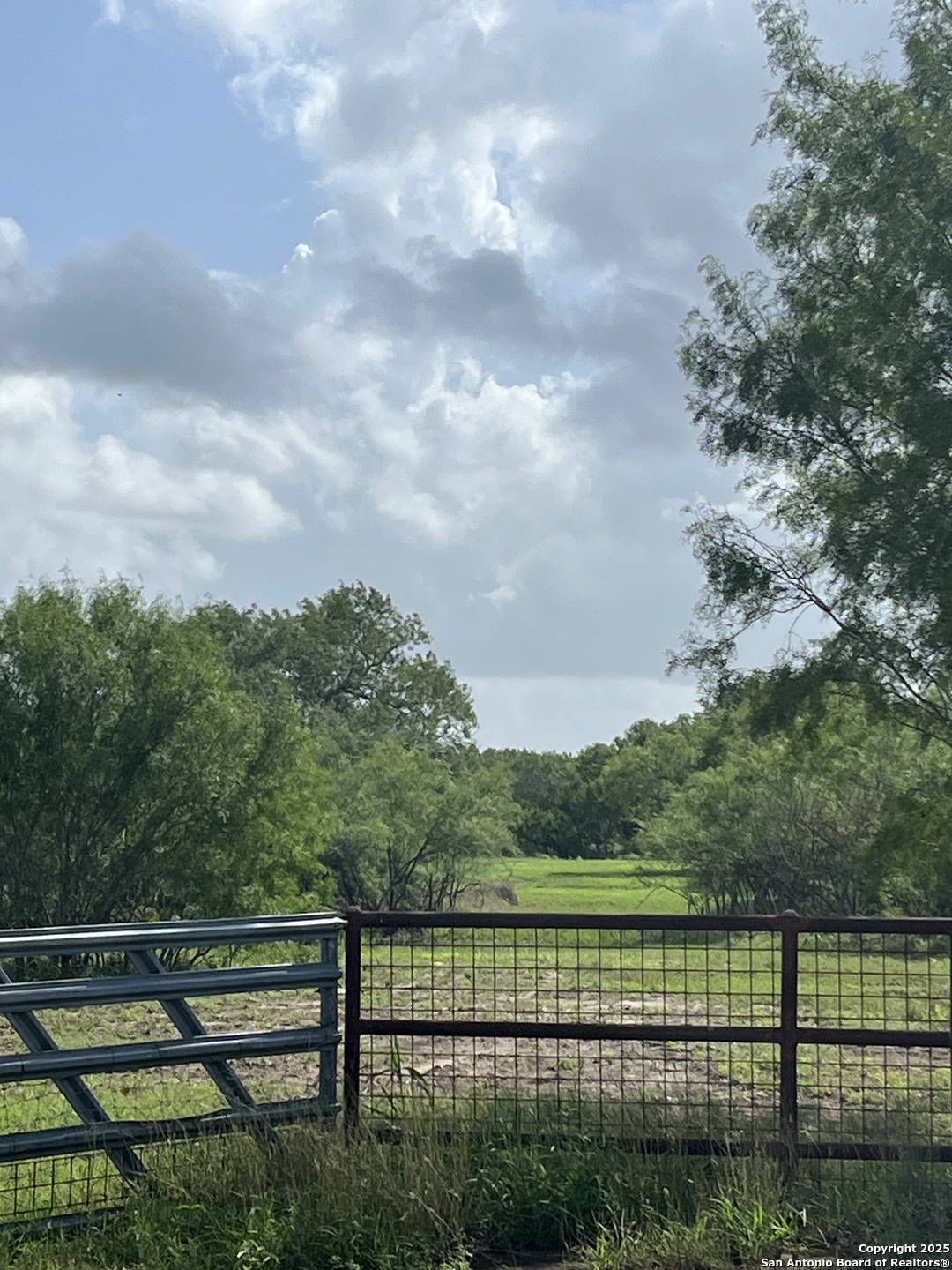 Lot 707 Deer Trail Jourdanton TX 78026