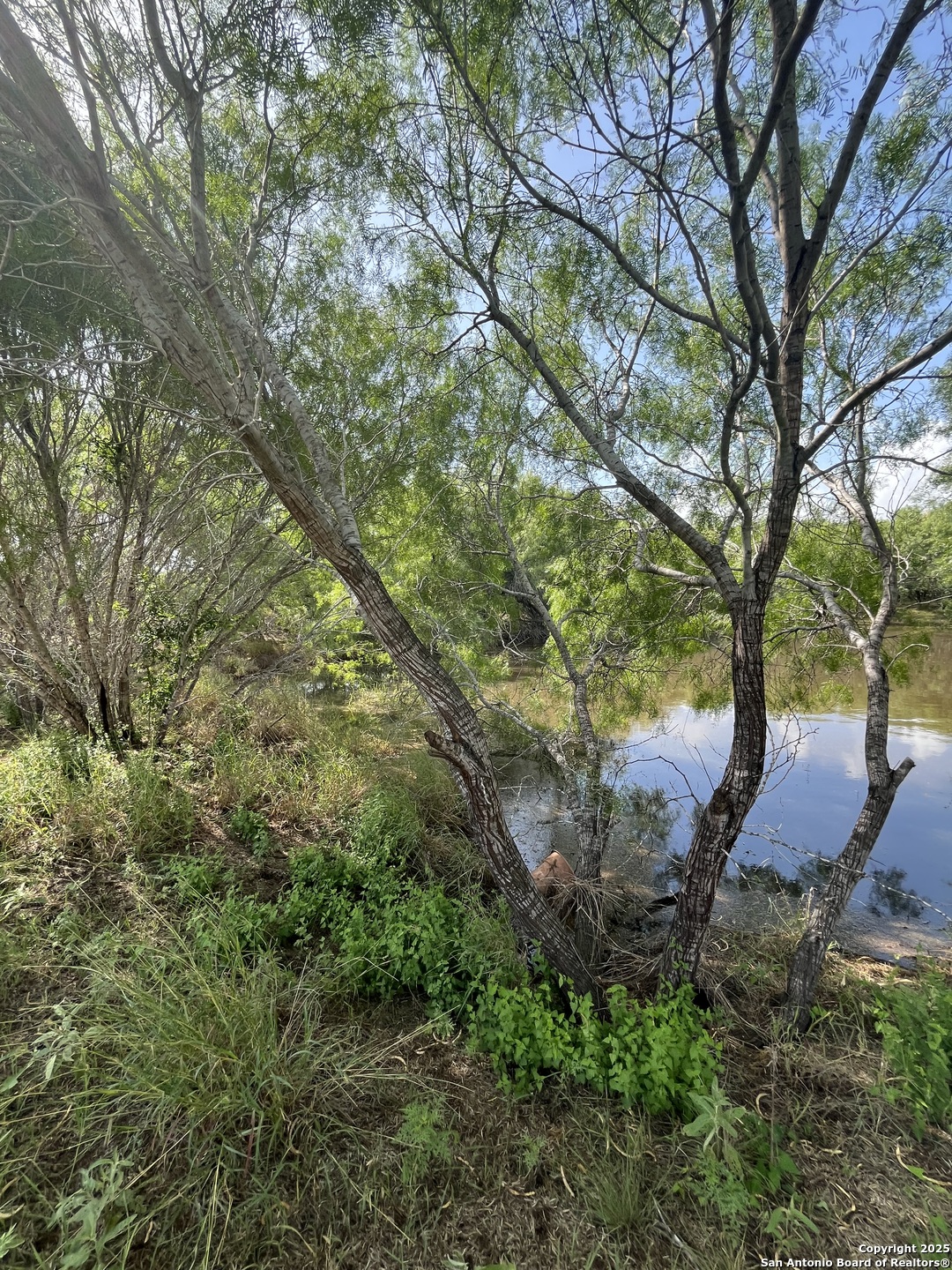 Lot 707 Deer Trail Jourdanton TX 78026