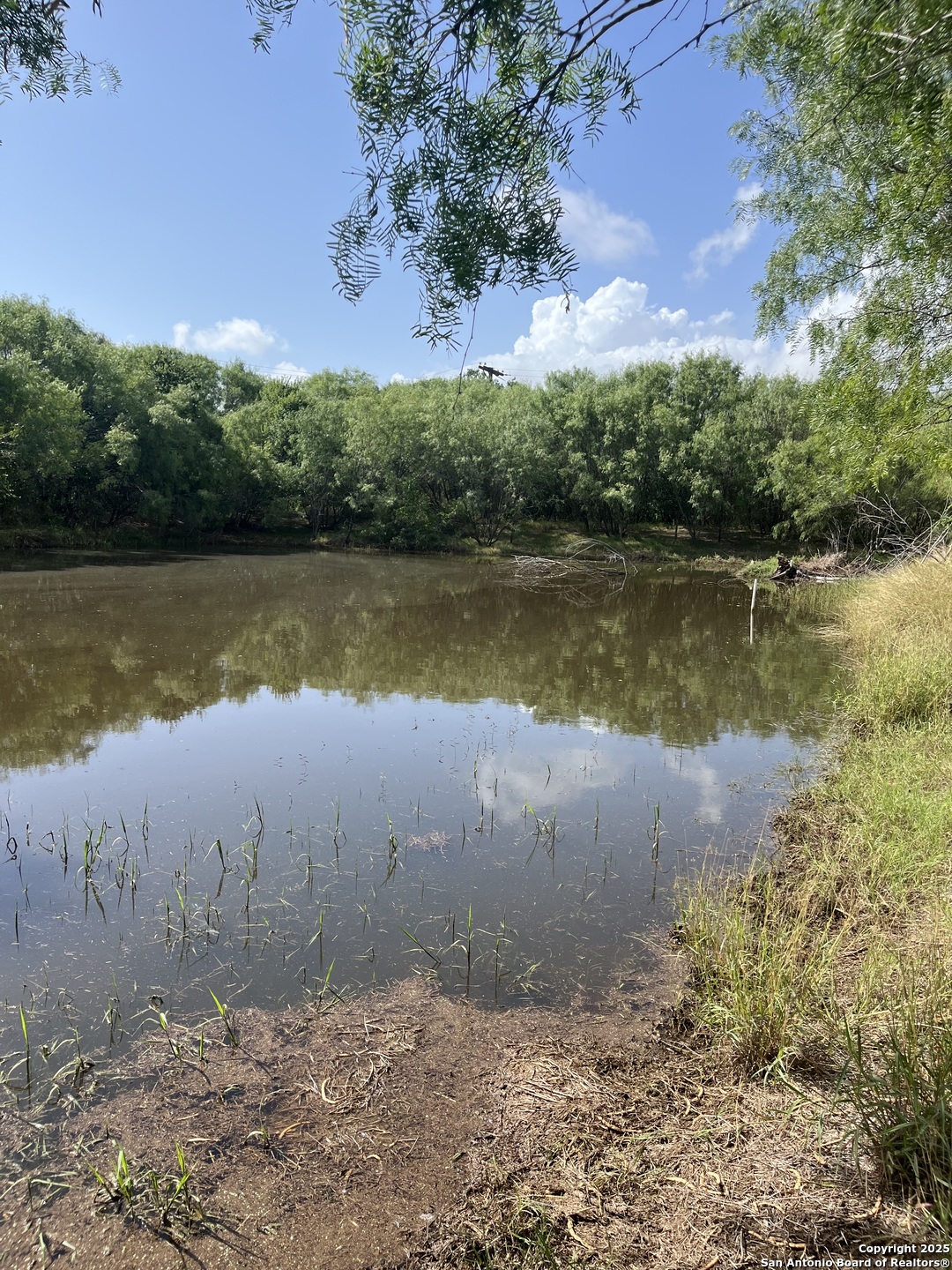 Lot 707 Deer Trail Jourdanton TX 78026