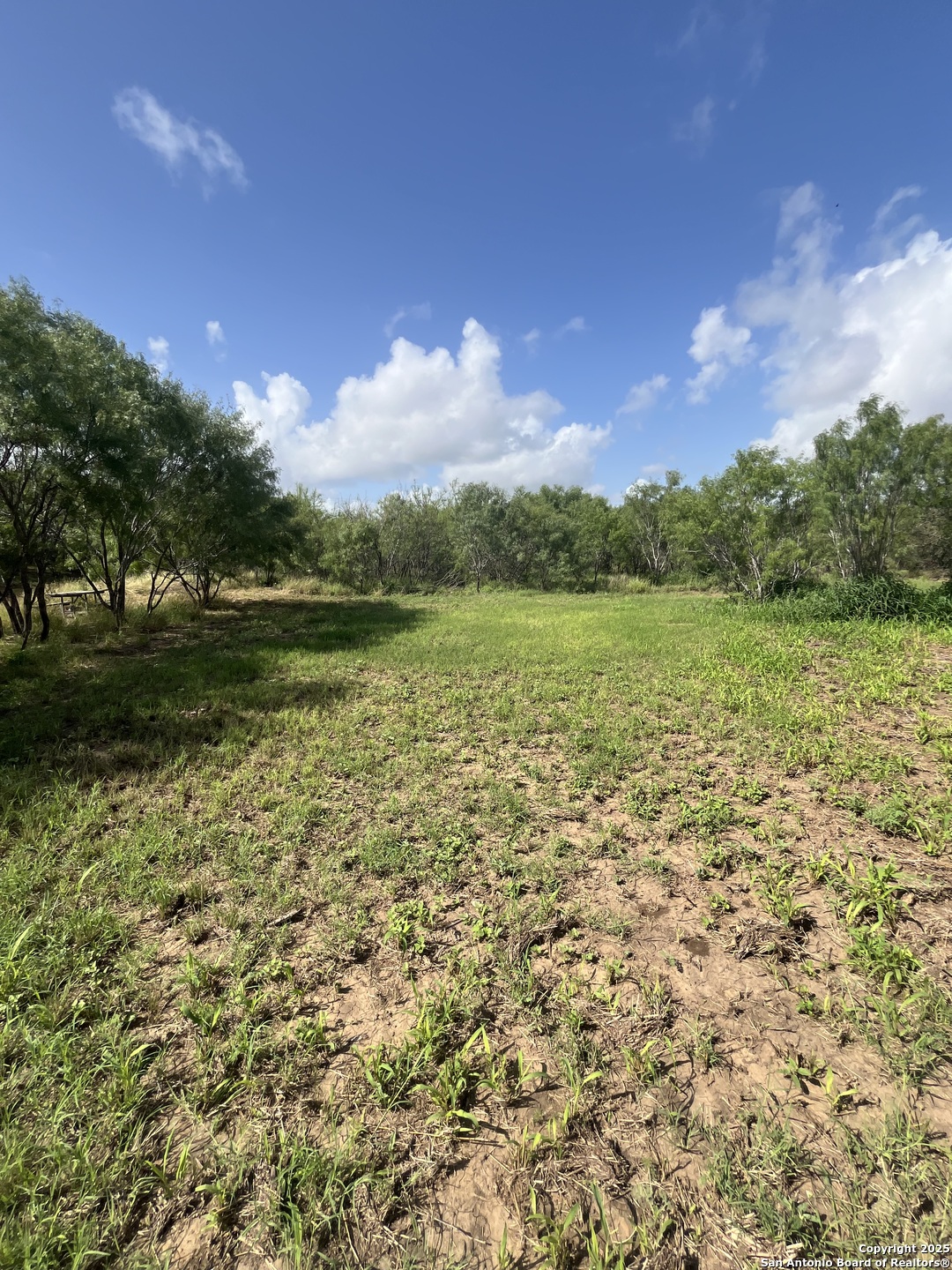 Lot 707 Deer Trail Jourdanton TX 78026