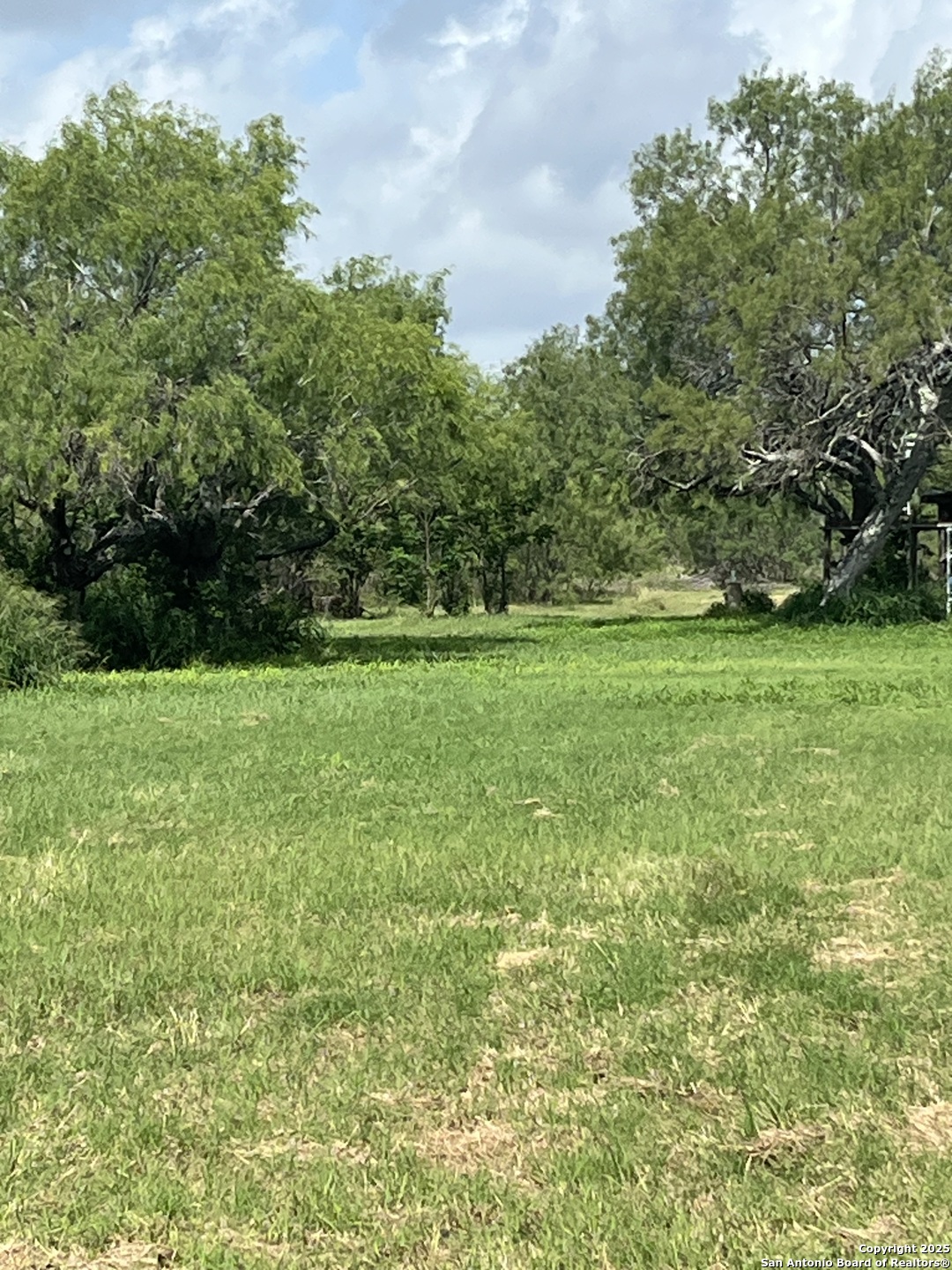 Lot 707 Deer Trail Jourdanton TX 78026