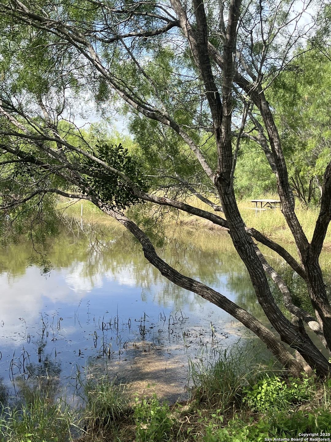 Lot 707 Deer Trail Jourdanton TX 78026