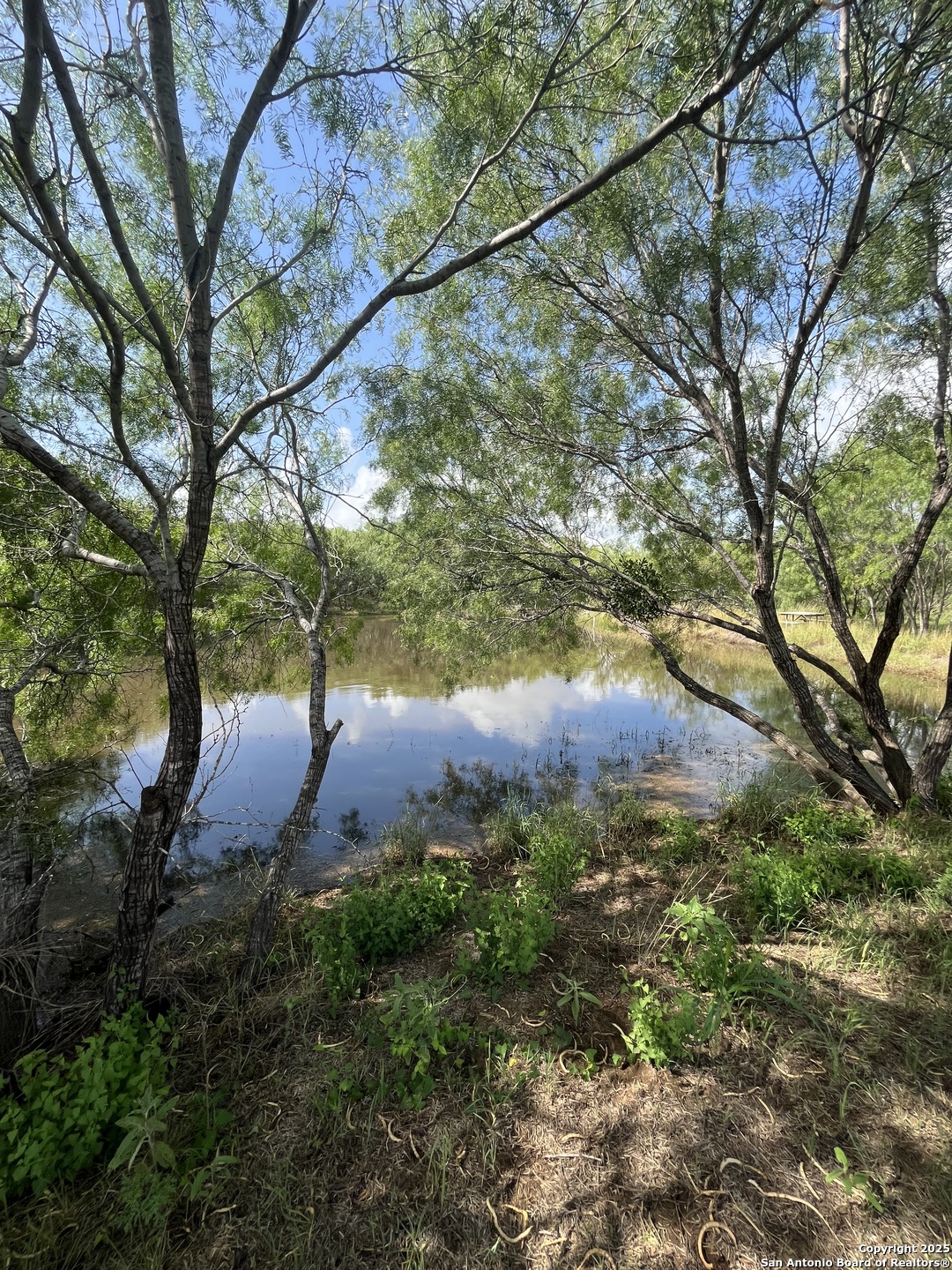 Lot 707 Deer Trail Jourdanton TX 78026