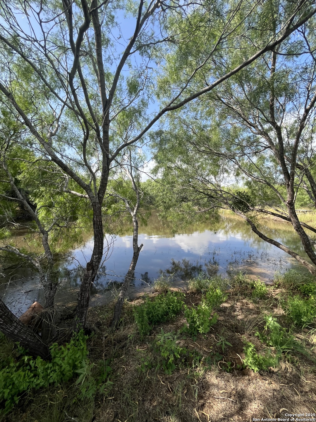Lot 707 Deer Trail Jourdanton TX 78026