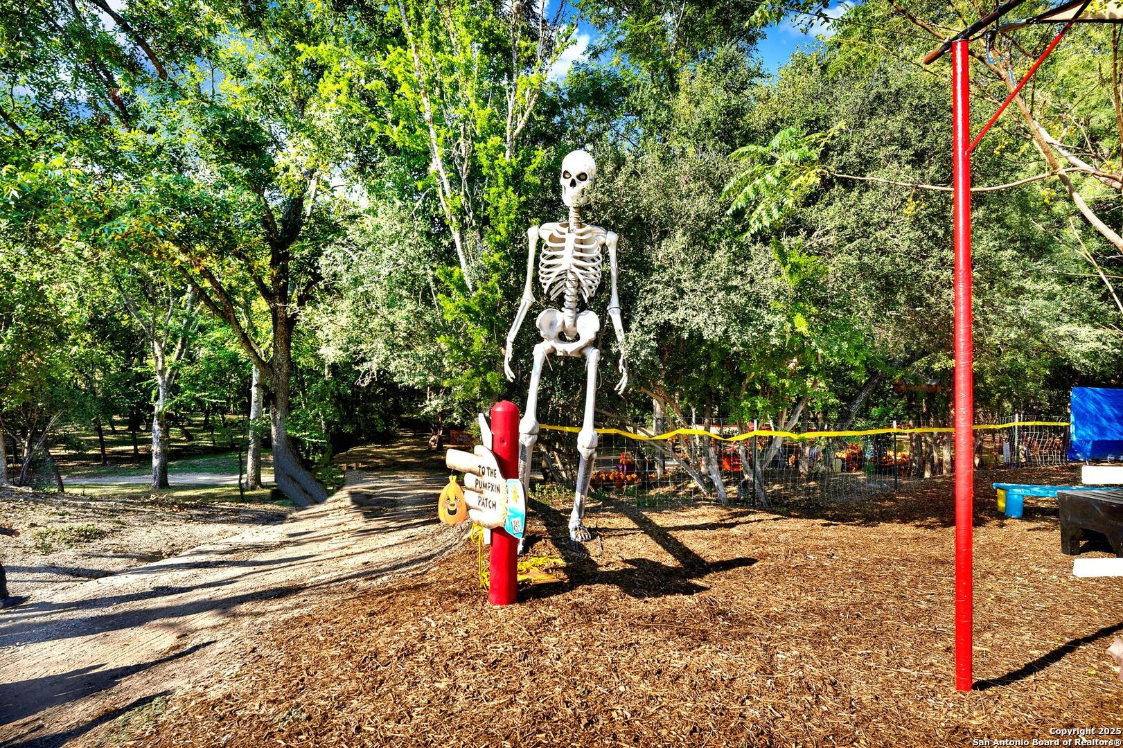 1877 County Road 4713 Lacoste TX 78039