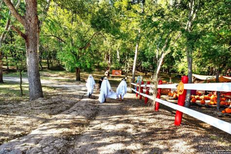 1877 County Road 4713 Lacoste TX 78039