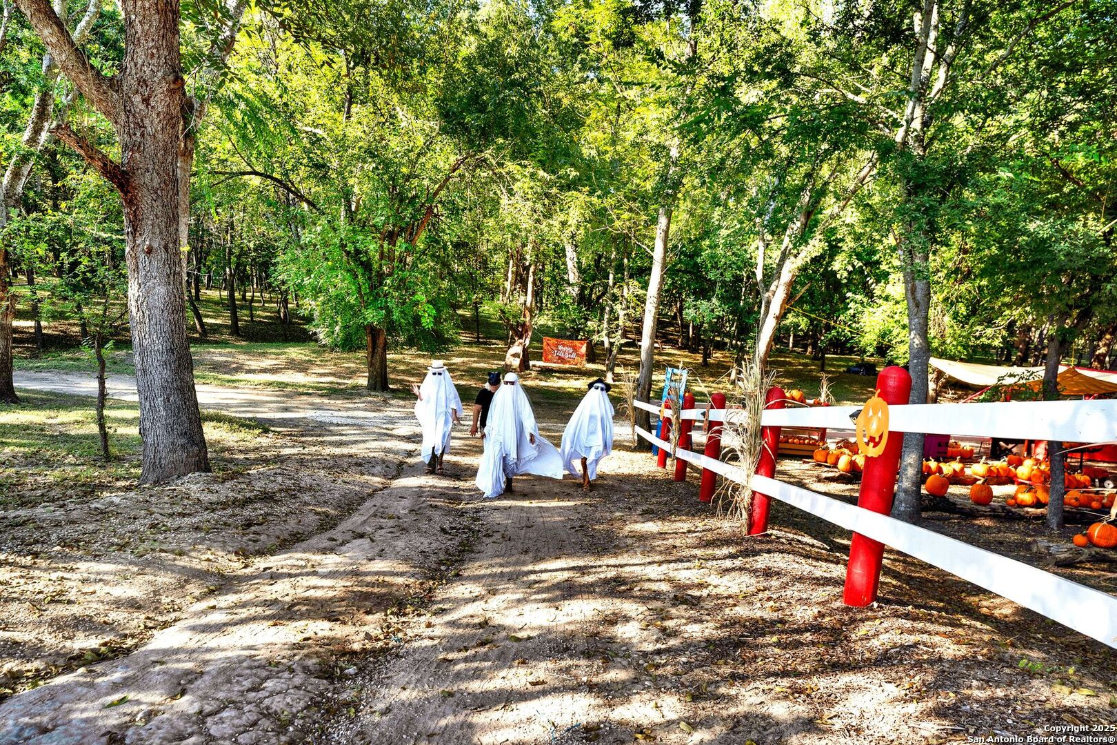 1877 County Road 4713 Lacoste TX 78039