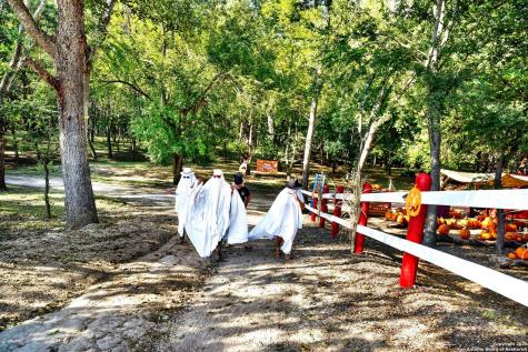 1877 County Road 4713 Lacoste TX 78039