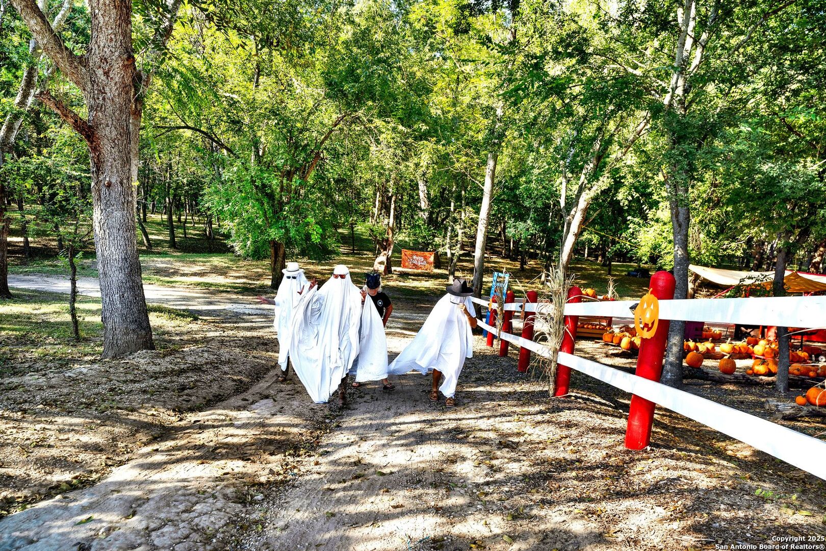 1877 County Road 4713 Lacoste TX 78039