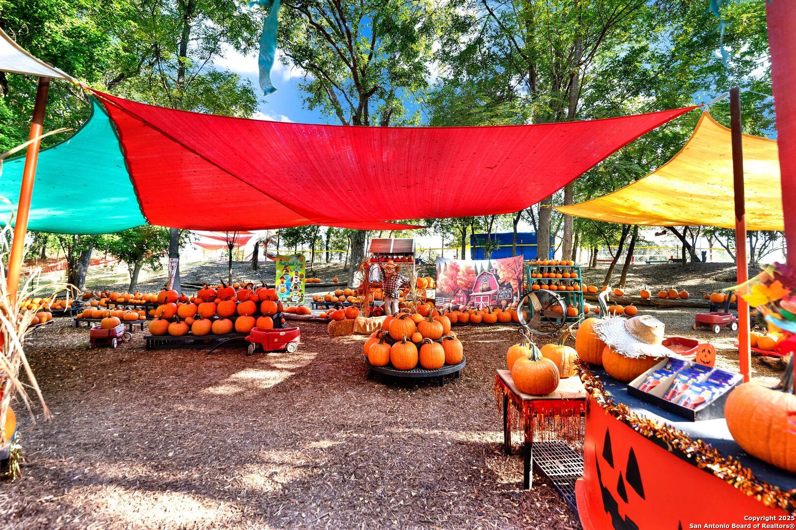 1877 County Road 4713 Lacoste TX 78039