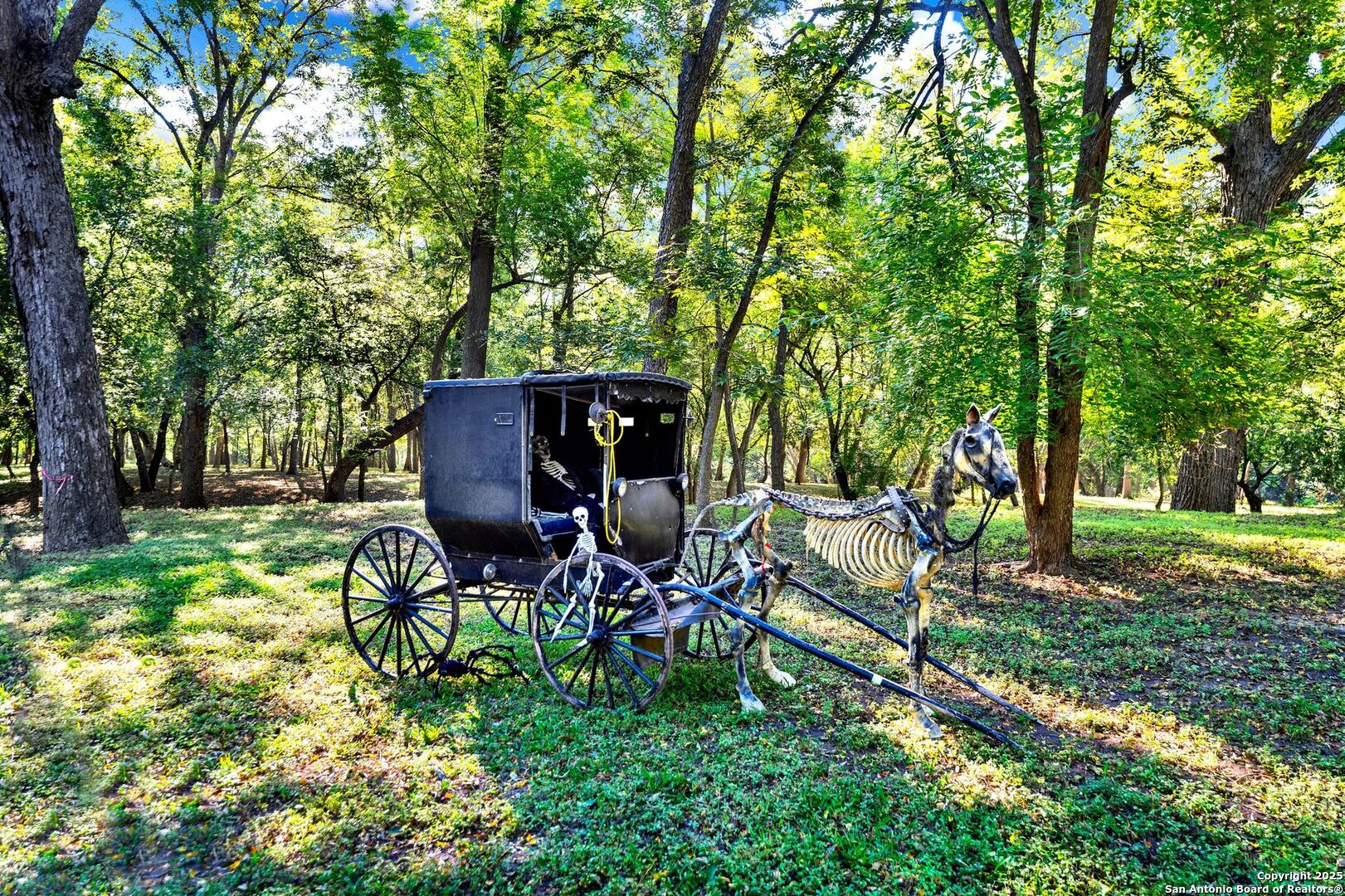 1877 County Road 4713 Lacoste TX 78039