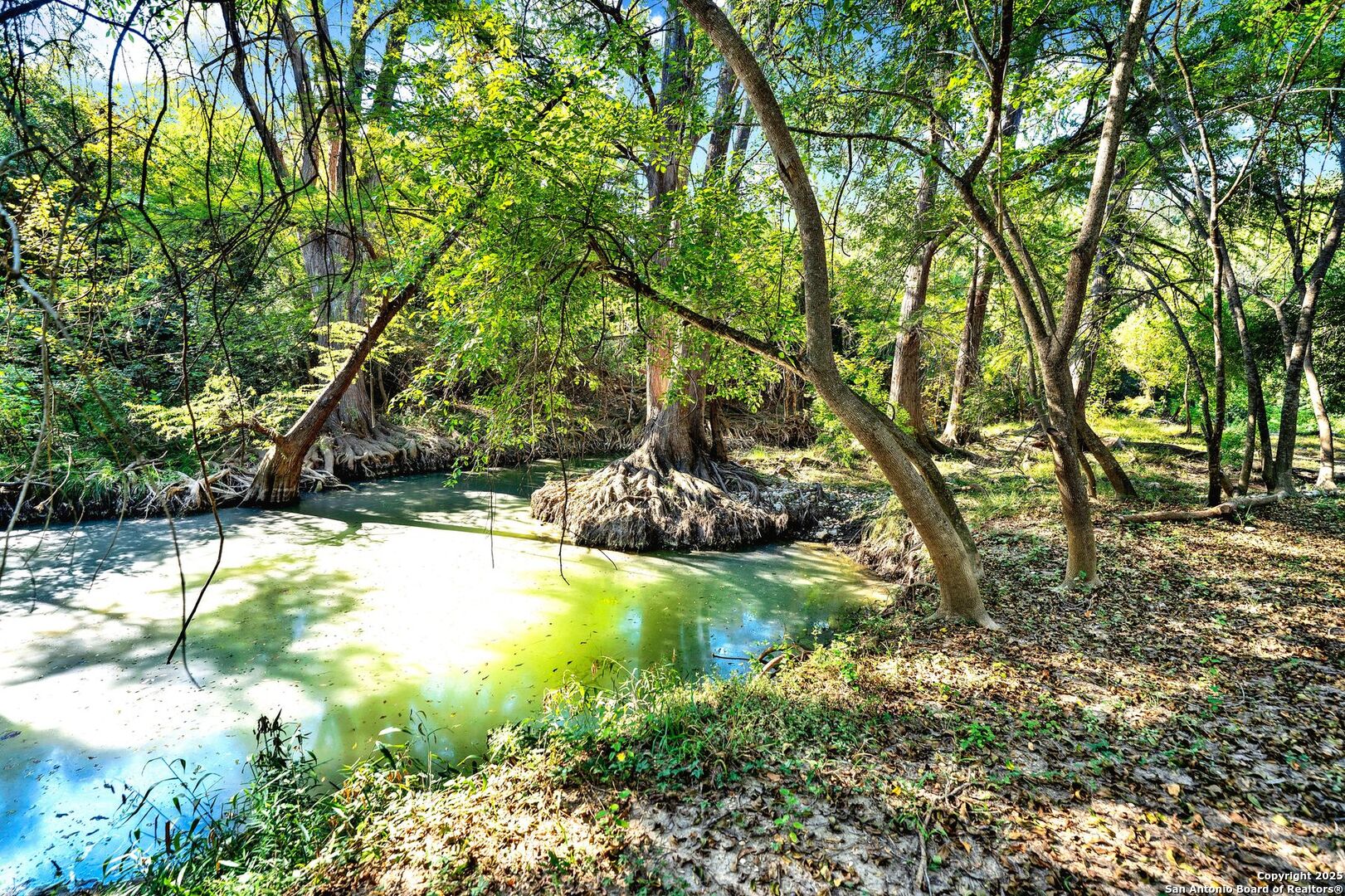 1877 County Road 4713 Lacoste TX 78039