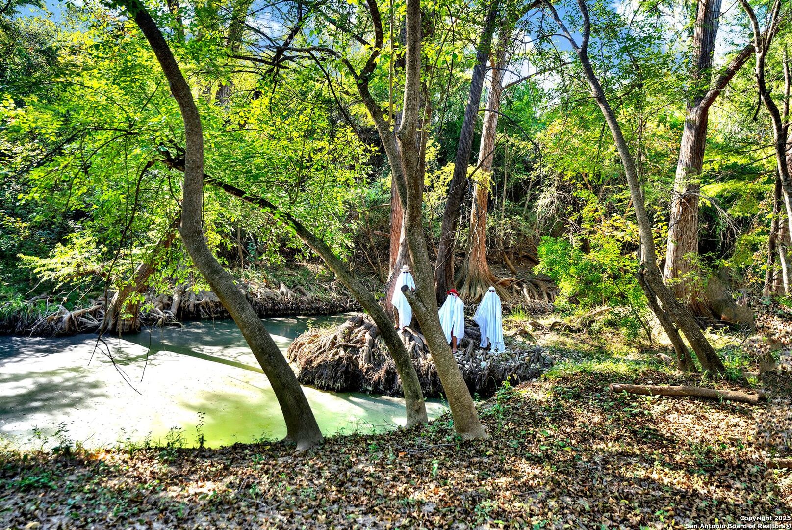 1877 County Road 4713 Lacoste TX 78039