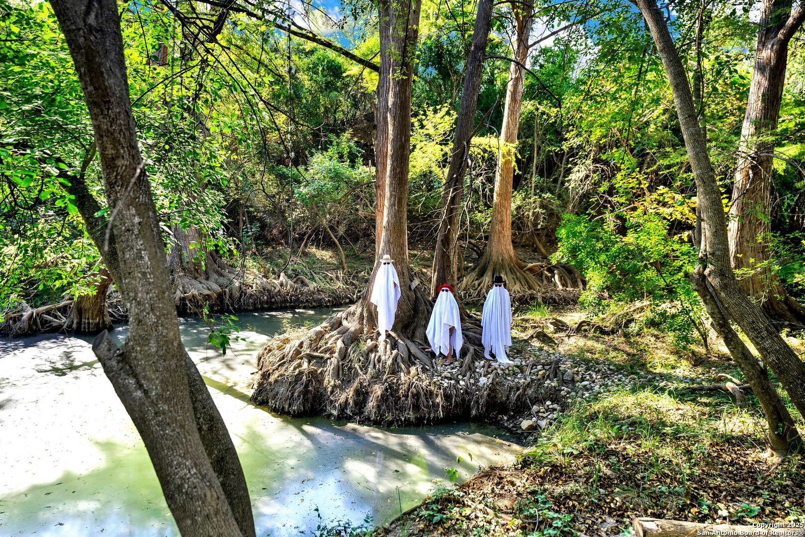 1877 County Road 4713 Lacoste TX 78039