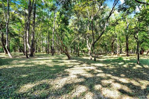 1877 County Road 4713 Lacoste TX 78039