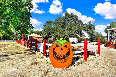 1877 County Road 4713 Lacoste TX 78039