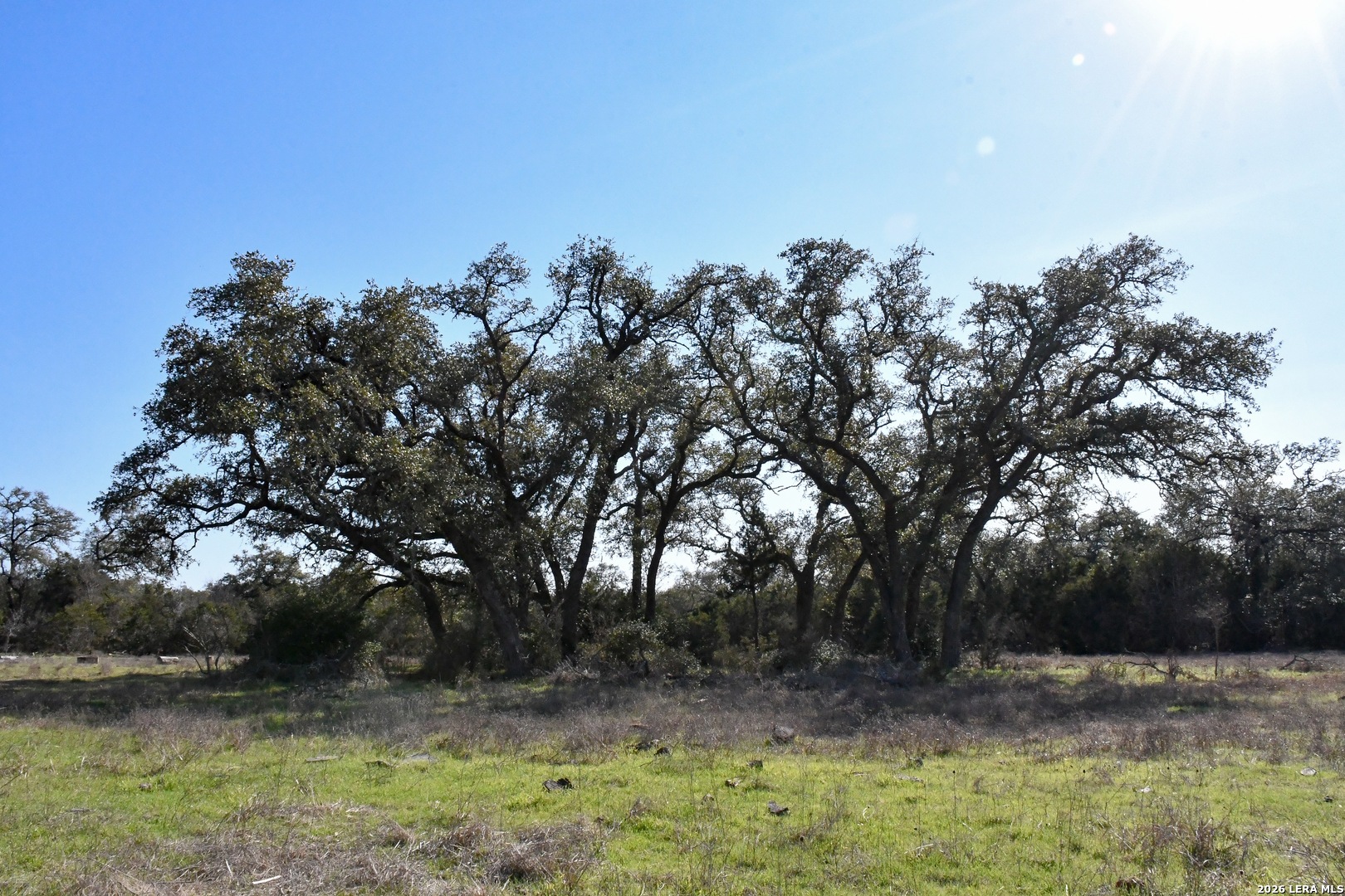 8995 Fm 306 New Braunfels TX 78132