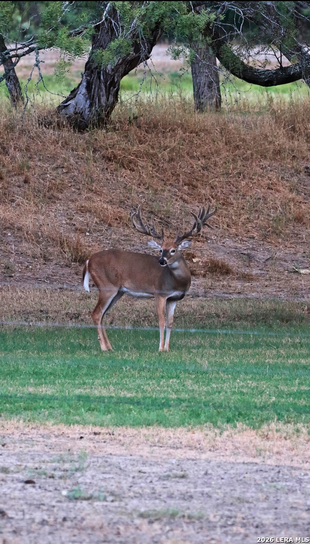 1958 County Road 237 Falls City TX 78113
