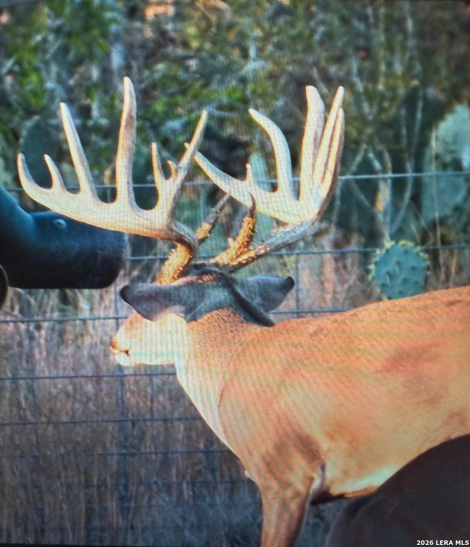 1958 County Road 237 Falls City TX 78113