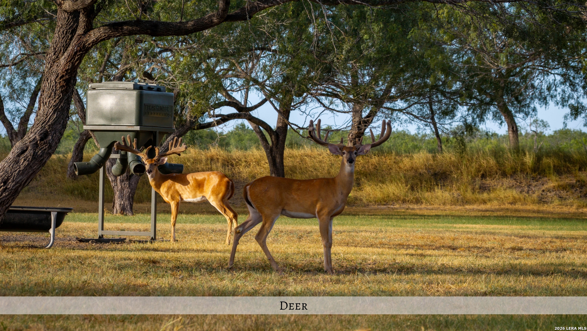 1958 County Road 237 Falls City TX 78113