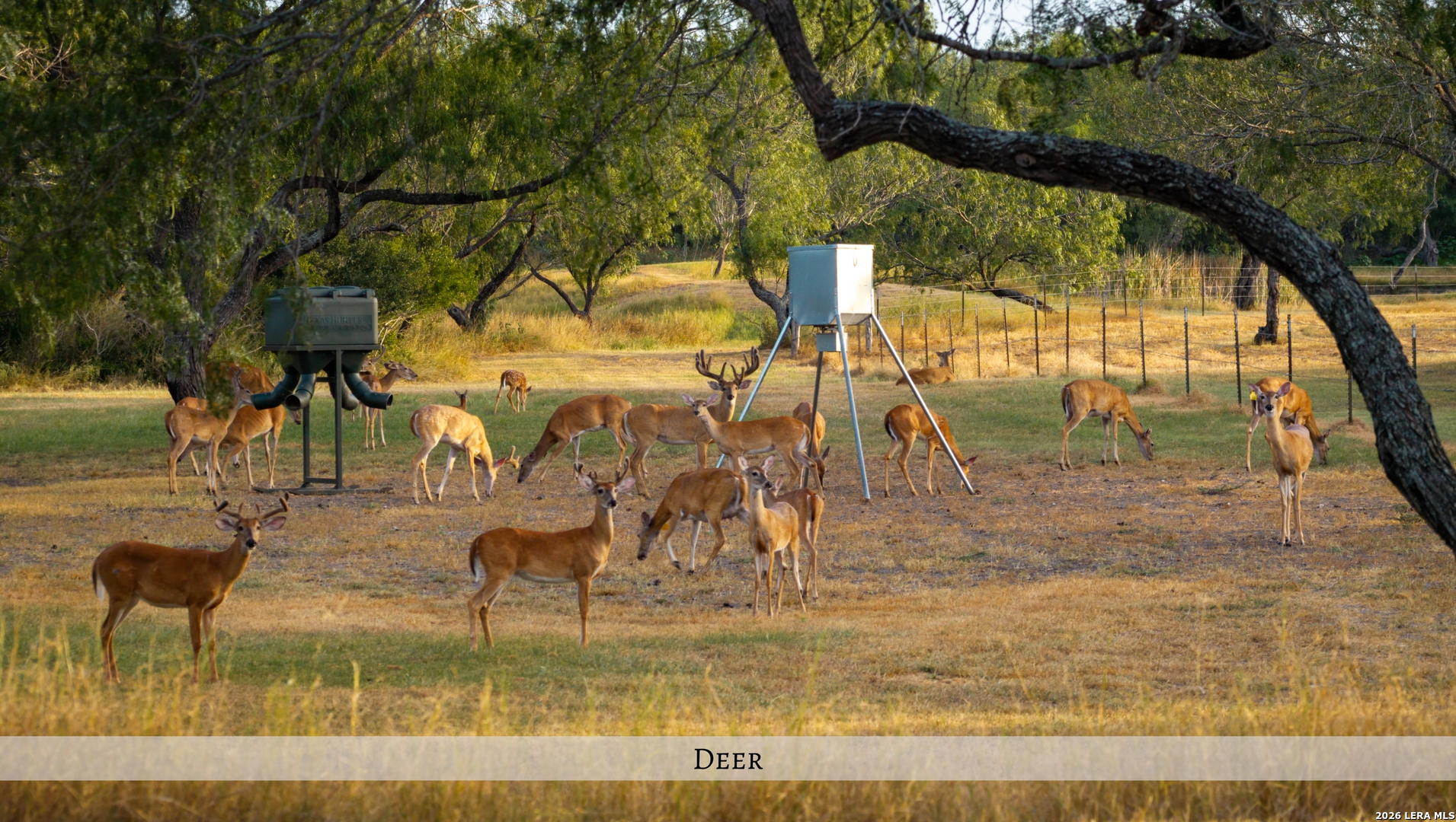 1958 County Road 237 Falls City TX 78113
