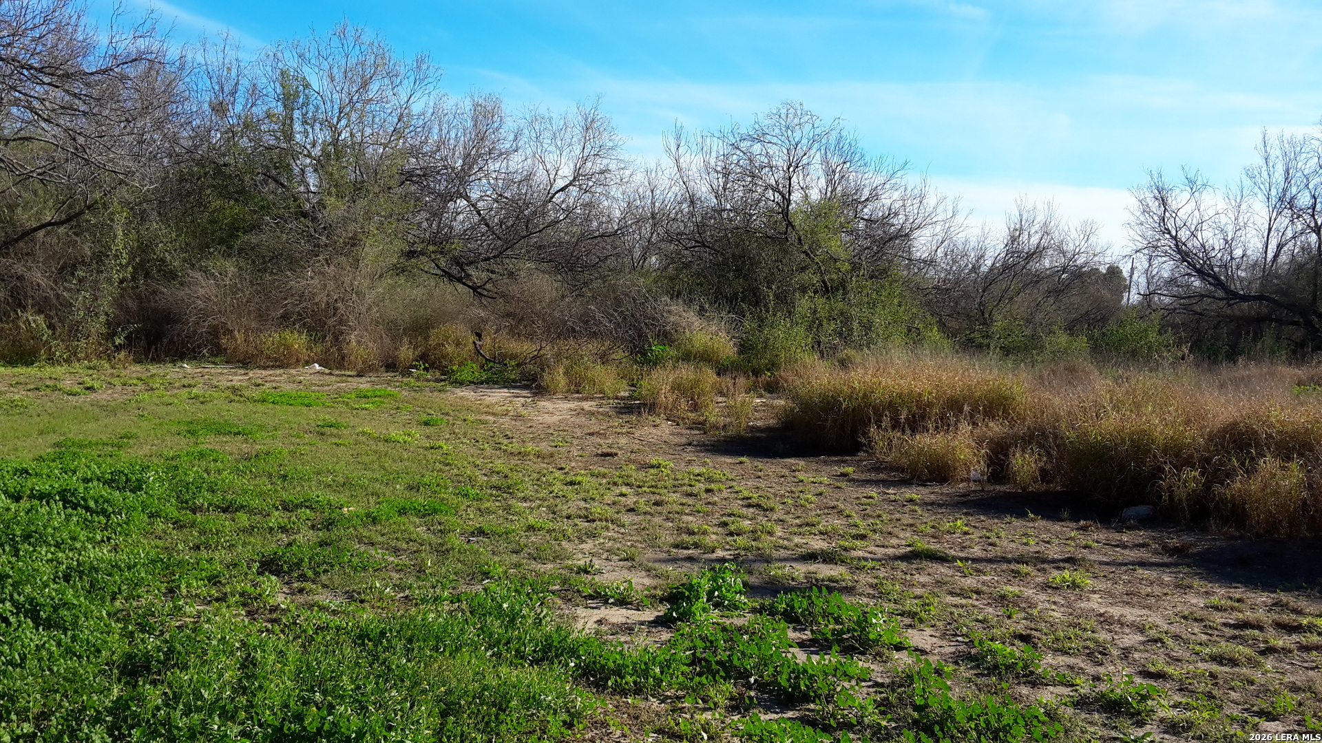 1501 1st Carrizo Springs TX 78834