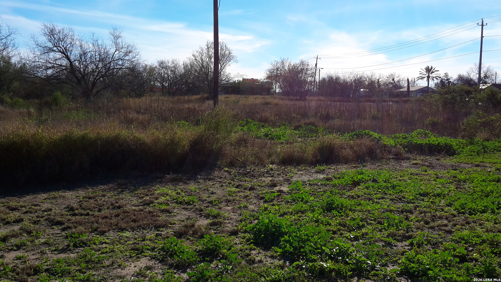 1501 1st Carrizo Springs TX 78834