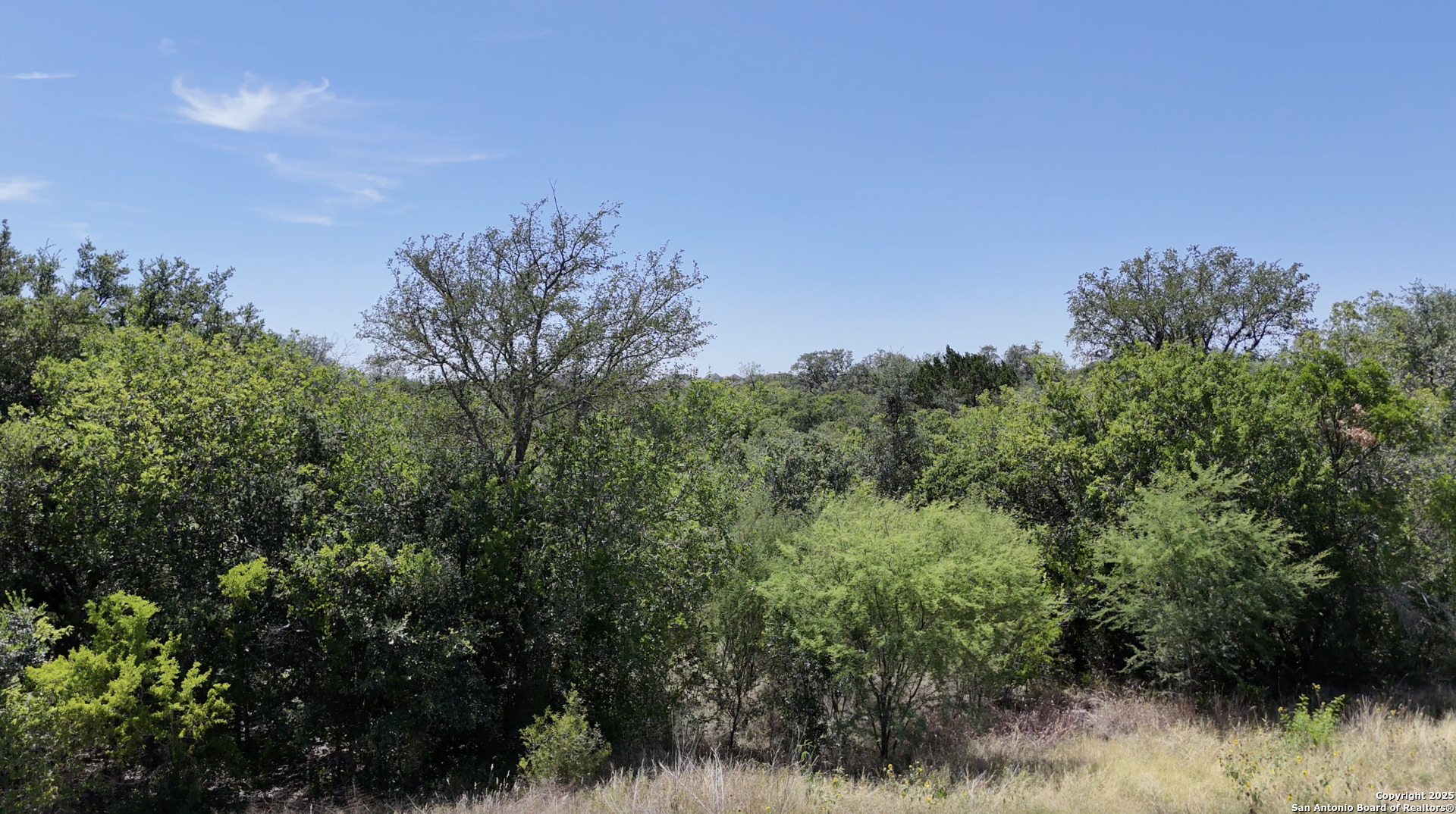 1365 Grosenbacher San Antonio TX 78245