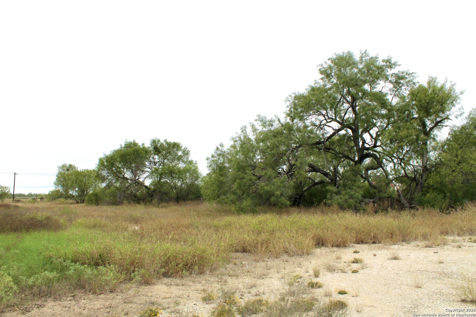 000 Fm 462 S Yancey TX 78886