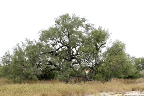 000 Fm 462 S Yancey TX 78886
