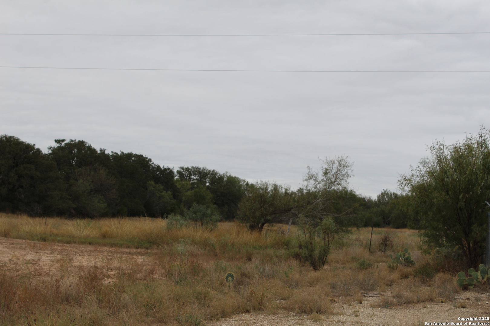 000 Fm 462 S Yancey TX 78886