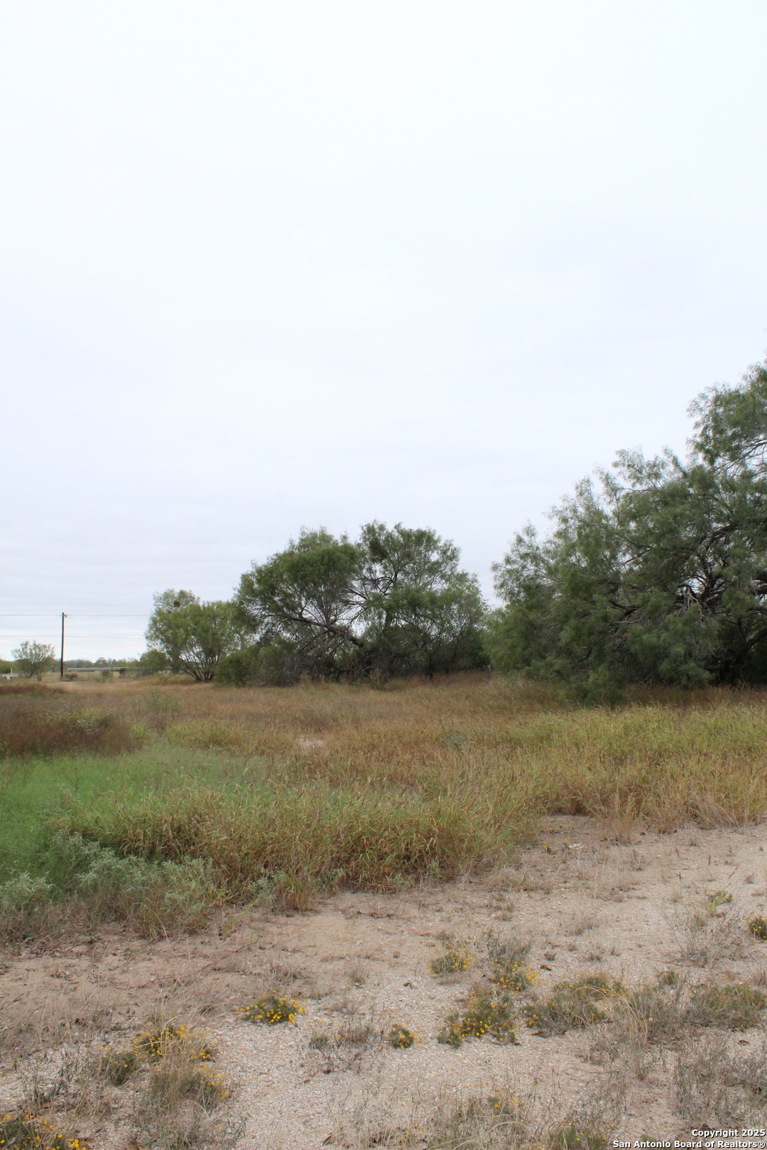 000 Fm 462 S Yancey TX 78886