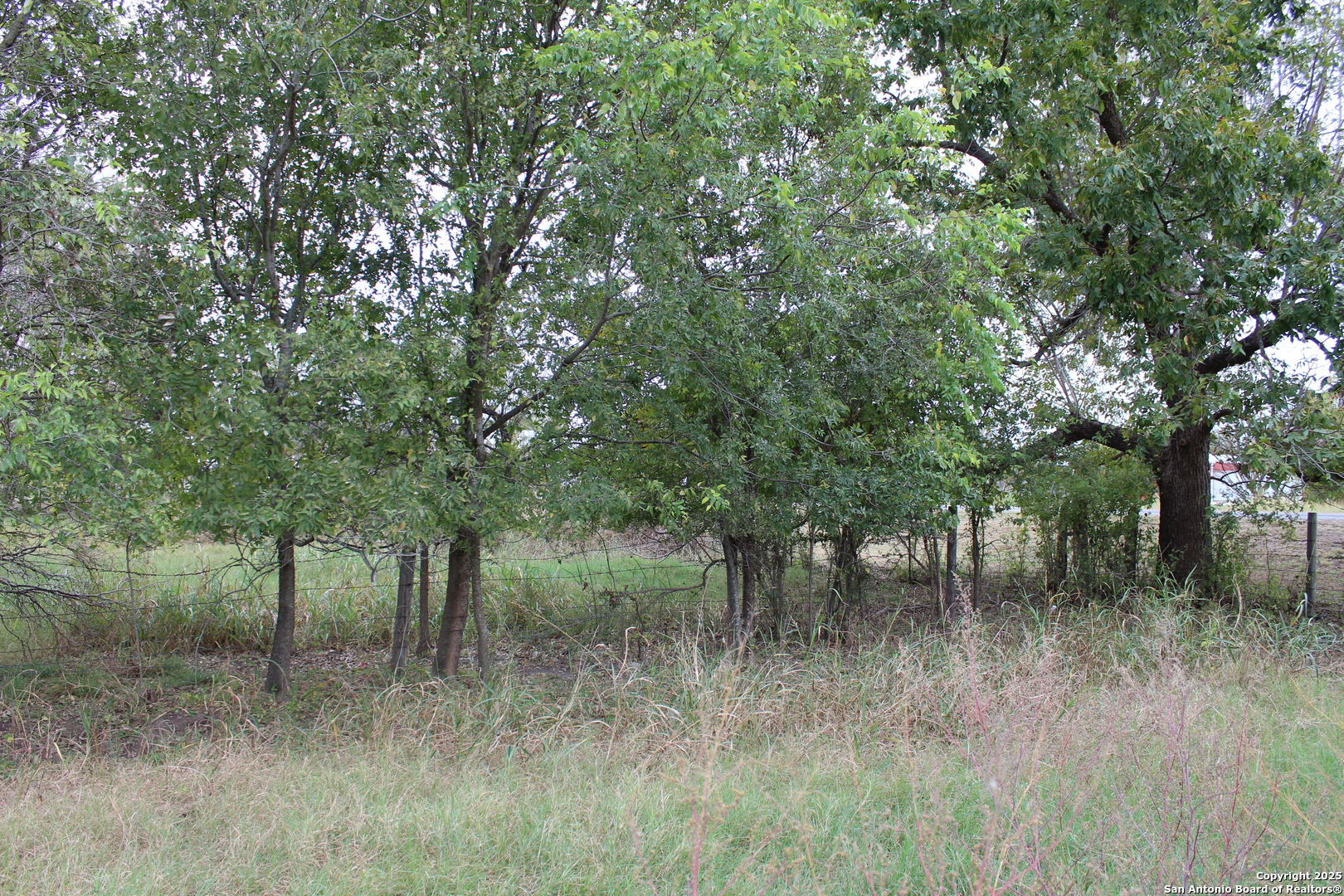 000 Fm 462 S Yancey TX 78886