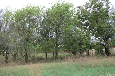 000 Fm 462 S Yancey TX 78886