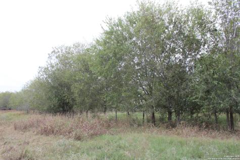 000 Fm 462 S Yancey TX 78886