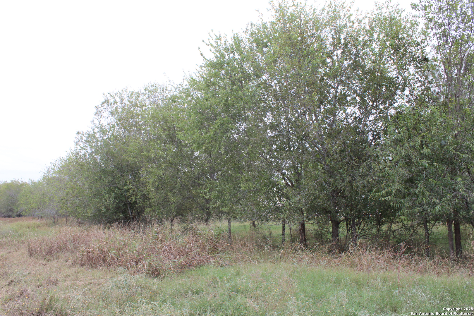 000 Fm 462 S Yancey TX 78886