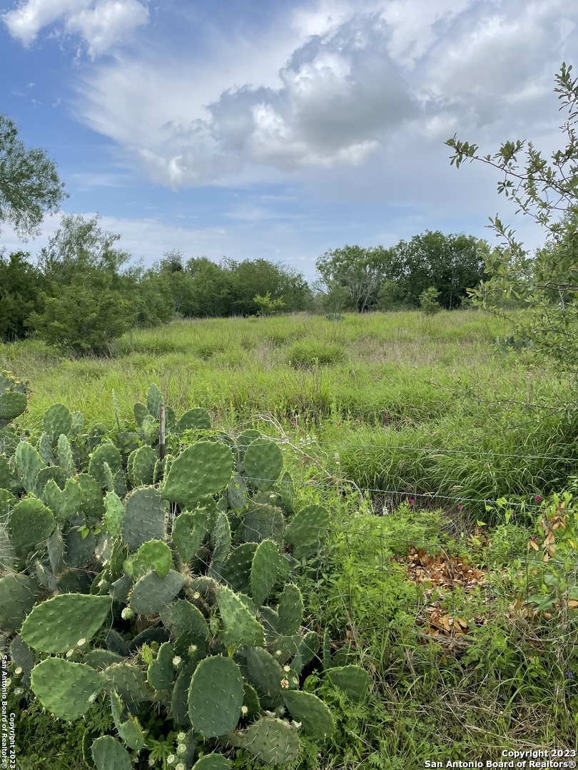 436 N Sunset Strip Street Kenedy TX 78119