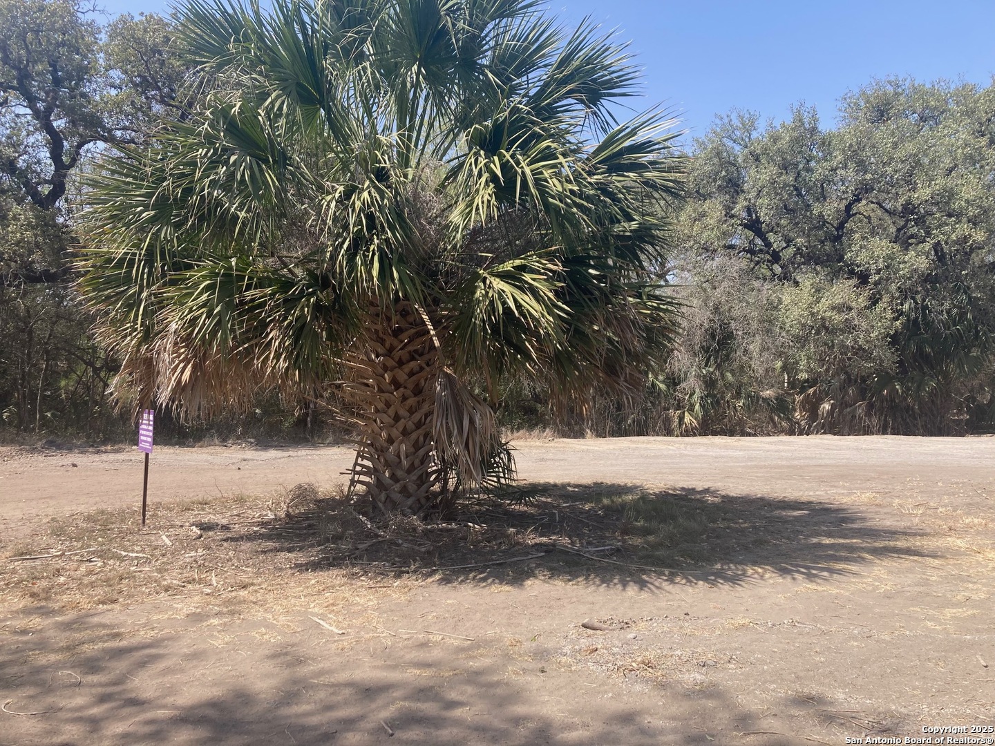 19792 S Fm 471 S (DEPOT Street) Natalia TX 78059