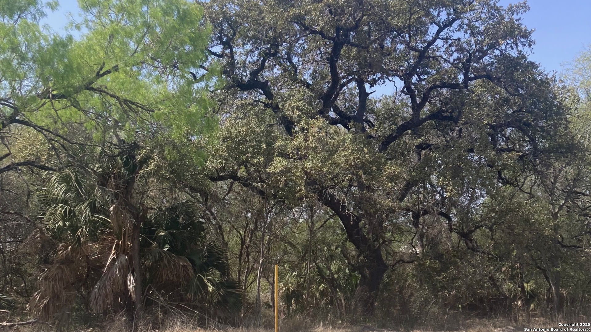 19792 S Fm 471 S (DEPOT Street) Natalia TX 78059