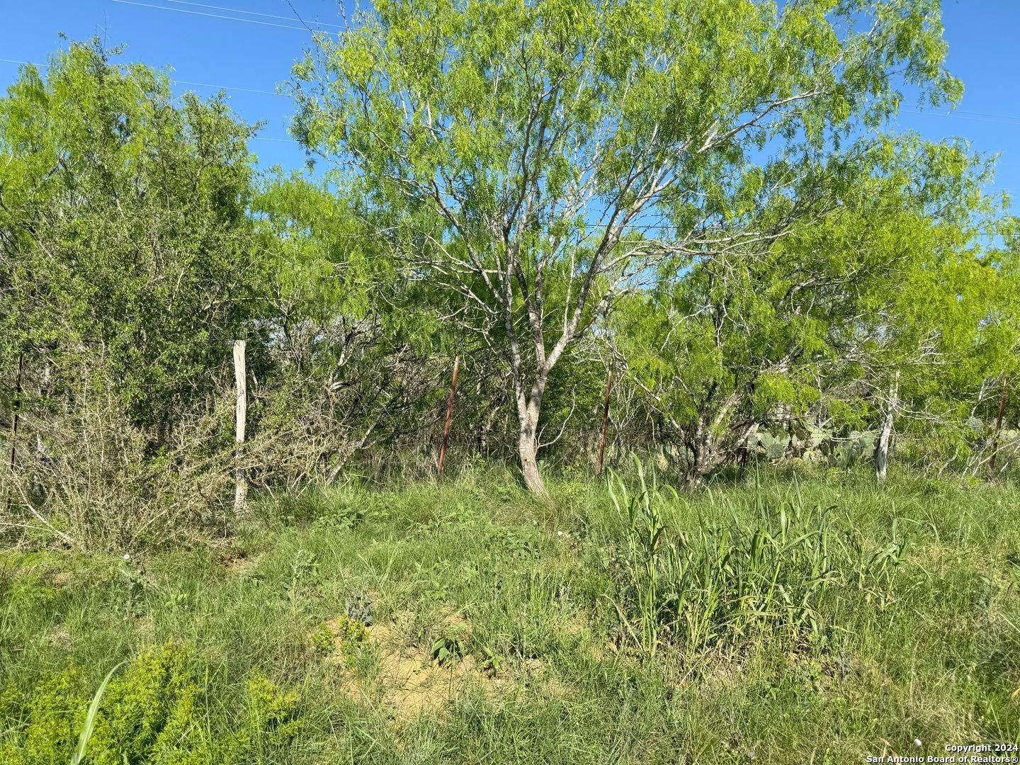1001 W West Stockdale TX 78160
