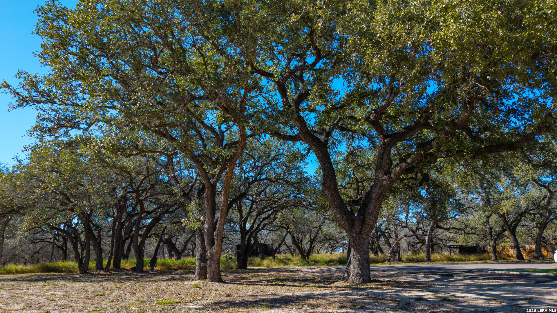 5683 Us Highway 181 N Floresville TX 78114